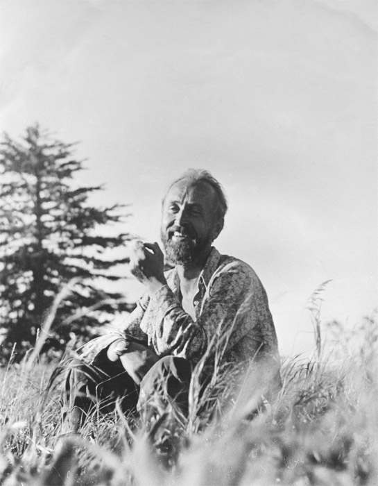 29